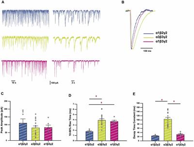 Effects of GABAA Receptor α3 Subunit Epilepsy Mutations on Inhibitory Synaptic Signaling